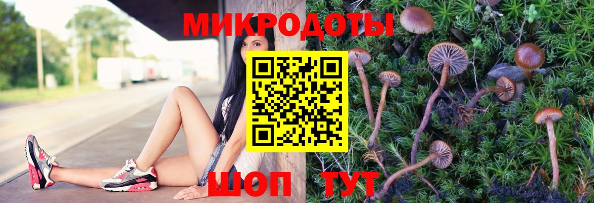 Галлюциногенные грибы Psilocybe Серпухов